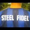 SteelFidel